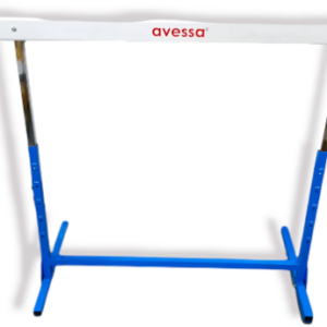 AVESSA ATLETİZM ENGELİ