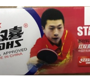 DHS TEK YILDIZ PLASTİK MASA TENİSİ TOPU 10 LU