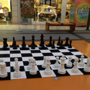 Bahçe Santranç Zemini