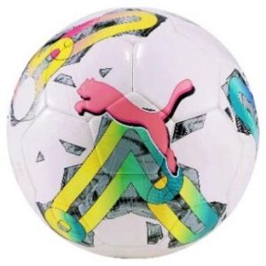 PUMA ORBITA 6 MS FUTBOL TOPU  NO 5