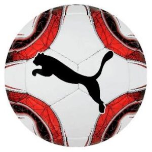 PUMA FİNAL 5 MAÇ TOPU  NO 5
