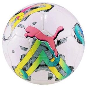 PUMA ORBİTA 4 HYBRID FIFA BASIC